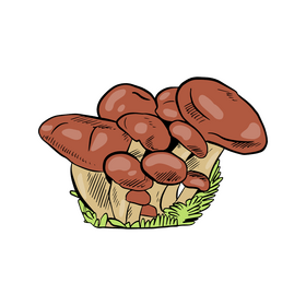 Honey Mushroom clipart