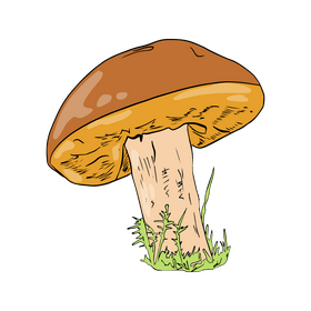 Leccinum clipart
