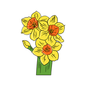Narcissus clipart