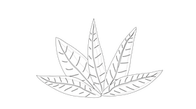 Leaf black and white clipart