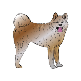 Akita Inu Dog clipart