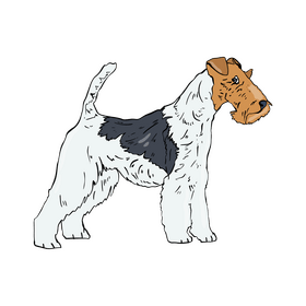 Airedale Terrier clipart