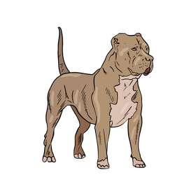 American Staffordshire Terrier clipart