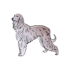 Greyhound clipart
