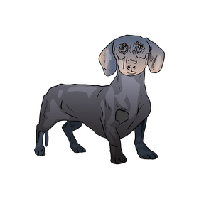Dachshund clipart