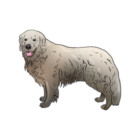 Retriever Dog clipart