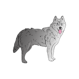Husky Dog clipart