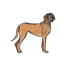 Mastiff Dog clipart