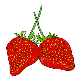 Two Strawberries clipart