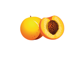 Whole and Half Cut Peach clipart