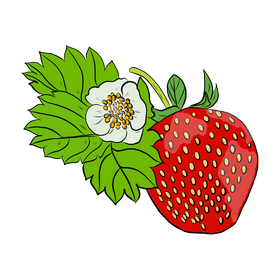 Strawberry with Leaves clipart