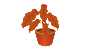 Orange Plant clipart