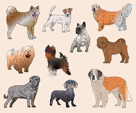 Dog Breeds vector