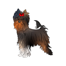 Yorkshire Terrier clipart