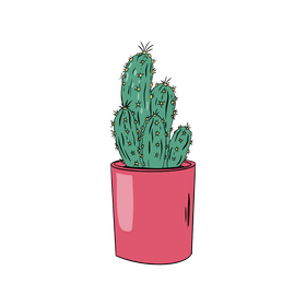Cactus clipart