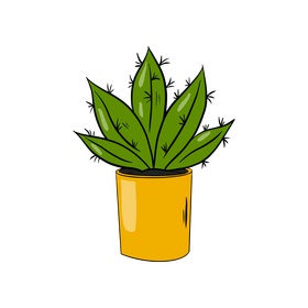 Aloe Vera Cactus clipart