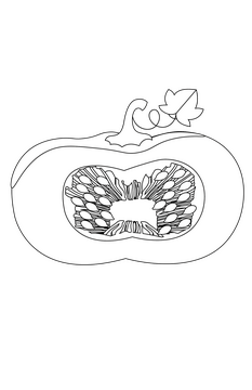 Cut in Half Pumpkin black and white clipart