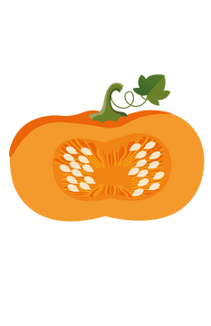 Cut in Half Pumpkin clipart