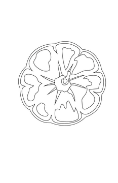 Top View of Pumpkin black and white clipart