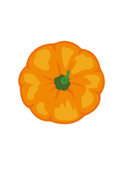 Top View of Pumpkin clipart