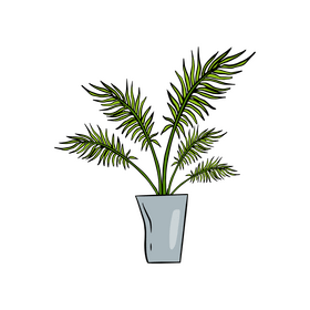 Majesty Palm clipart