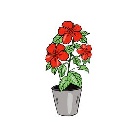 Gerbera Daisy in Pot clipart