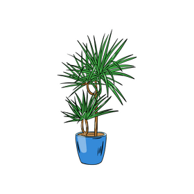 Majesty Palm clipart