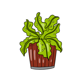 Potted Plant clipart