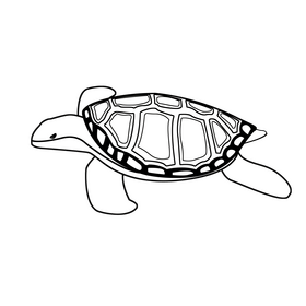 Turtle black and white clipart free download