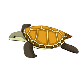 Turtle clipart