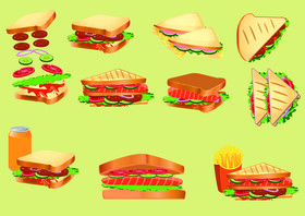Sandwich vector