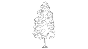 Tree black and white clipart