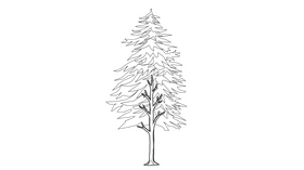 Tree black and white clipart free download