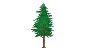 Tree with Needles clipart