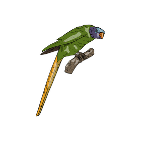 Green parrot with red beak clipart