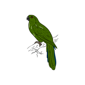 Green parrot clipart