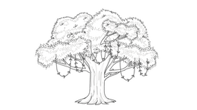 Old Tree black and white clipart