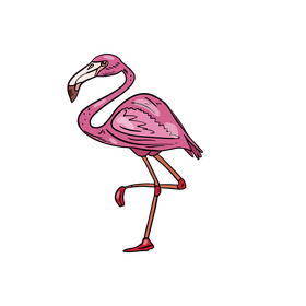 Flamingo clipart