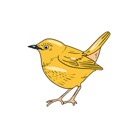 Yellow warbler bird clipart