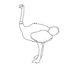 Ostrich black and white clipart