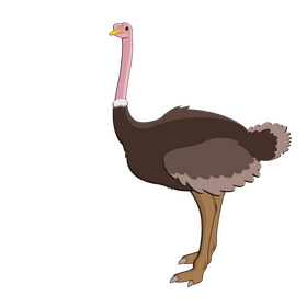 Ostrich torso clipart vector free download