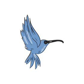 Blue hummingbird clipart