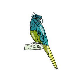 Parrot clipart