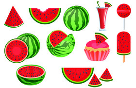 Watermelon vector