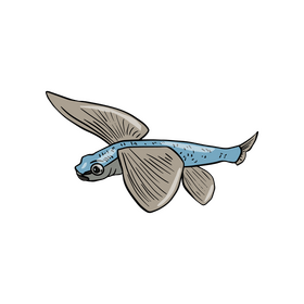 Flying fish clipart