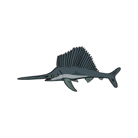 Sailfish, fish clipart