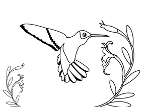 Hummingbird black and white clipart