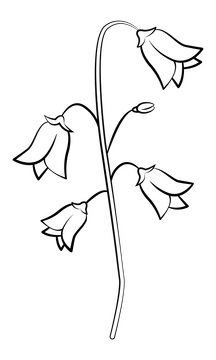 Bluebell black and white clipart