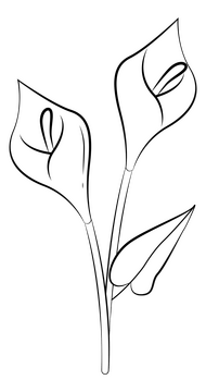 Calla lily black and white clipart