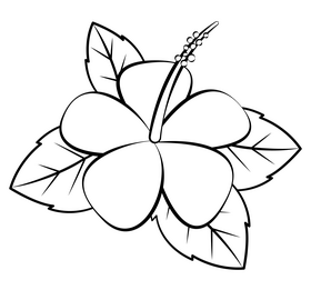 Hibiscus black and white clipart